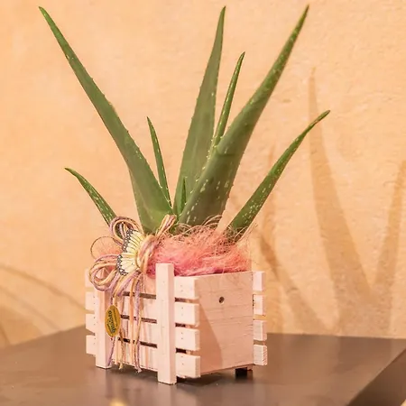 Apartman Dimora Valpolicella Tra Ulivi E Vigneti