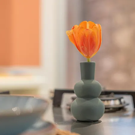 Dimora Valpolicella Tra Ulivi E Vigneti 아파트 *